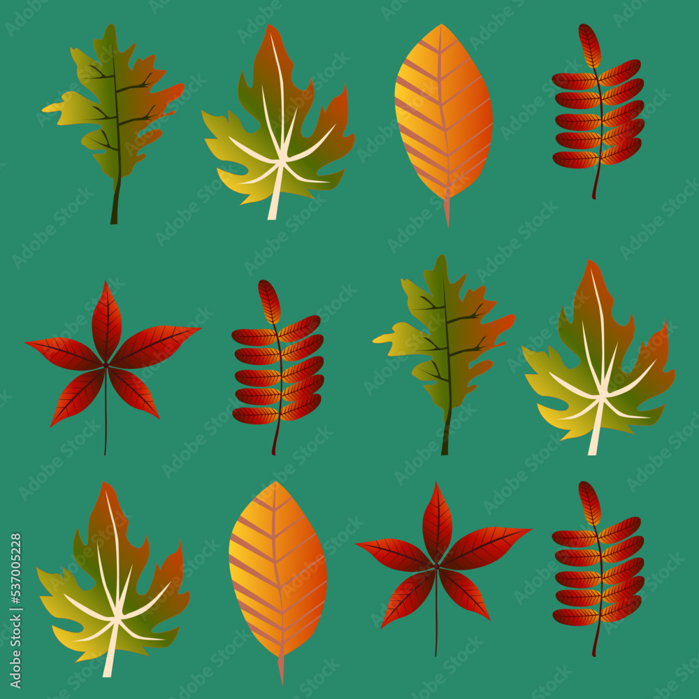 Obraz premium Autumn leaves set, isolated on white background. Simple cartoon flat style. Isolated vector illustration. Design for stickers, logo, web and mobile app.