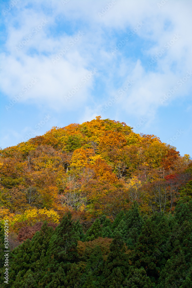 カラフルな秋の山と青空
