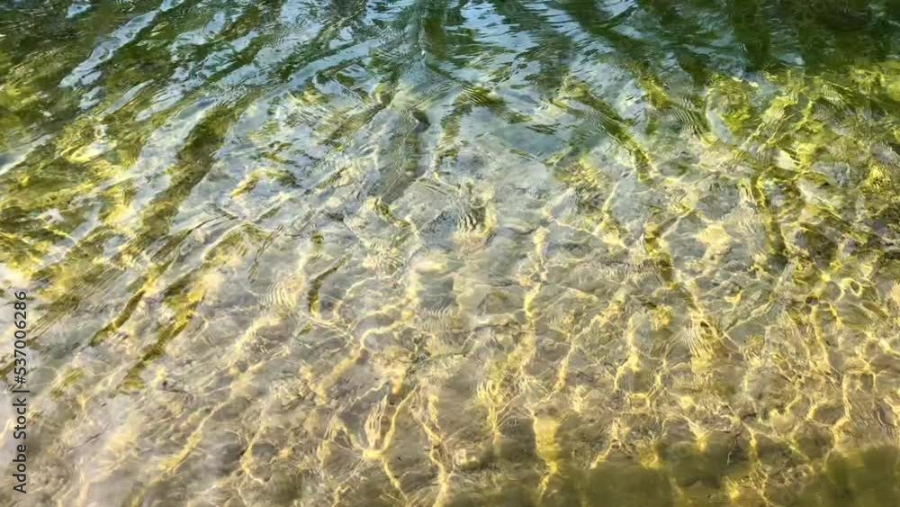 View of a tranquil clear river water stream on a sunny day