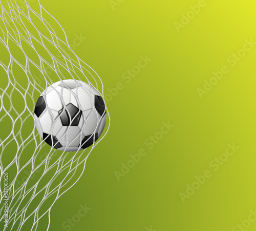 Soccer or football ball in goal net on green background, sport accessory, equipment for playing game