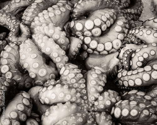 Detail of octopus for sale on a market in Venice photo