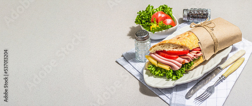 Quadro su tela Panini sandwich with ham, crispy salad and vegetables