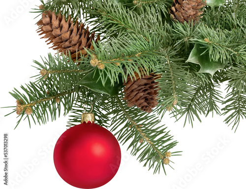 Red bauble on green christmas fir tree on white background