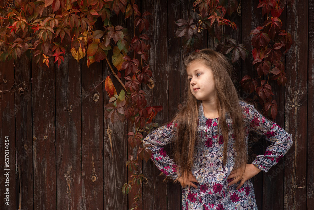 portrait of a girl in autumn park portrait of a girl in autumn park