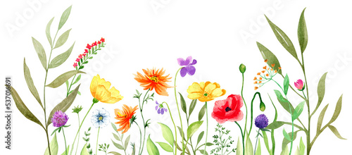Watercolor spring composition of flowers and grass,  isolated on transparent background #537016691