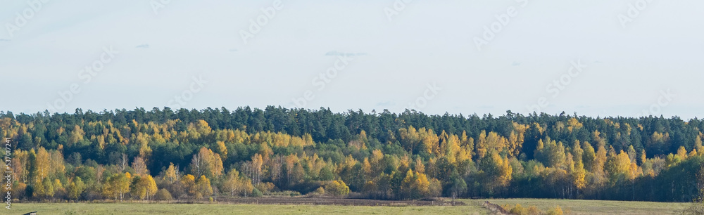 Autumn landscape, nature landscape. Autumn landscape, nature landscape.