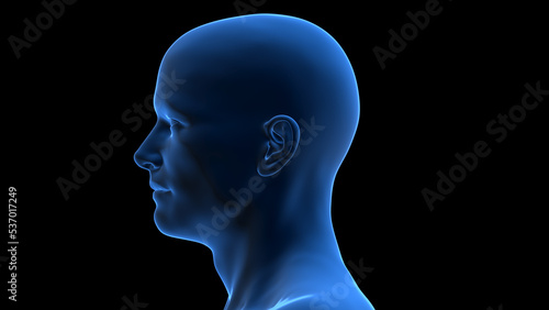 3d rendered illustration of a dark blue male head