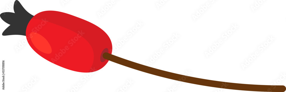 Dog-rose fruit flat icon Winter plants decorations element Dog-rose fruit flat icon Winter plants decorations element
