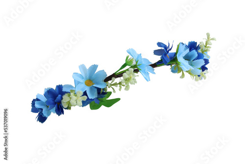 Small Blue Flower Crown Side View isolated on white background with clipping paths