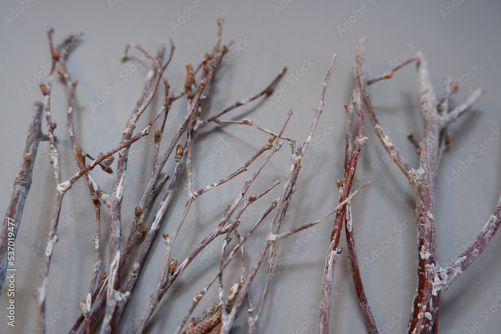 Winter natural concept decoration. Dry flowers and branch background. Winter branches flat composition. simple botanical background. Winter natural concept decoration. Dry flowers and branch background. Winter branches flat composition. simple botanical background.