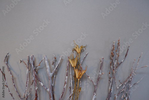 Winter natural concept decoration. Dry flowers and branch background. Winter branches flat composition. simple botanical background. photo