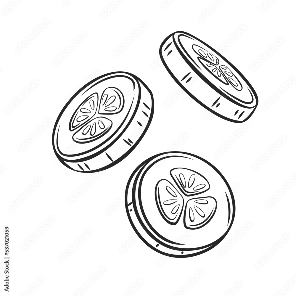 Outline falling cucumber slice vector illustration. Outline falling cucumber slice vector illustration.