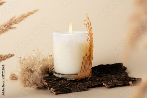Burning aromatic candle in glass holder and dry plants elements on beige background. Aromatherapy and autumn mood. Domestic ornate (ID: 537022018)