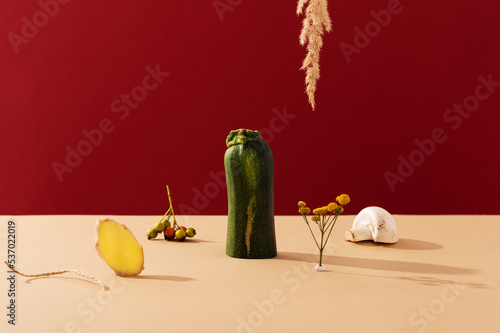Composition with zucchini and autumn nature details on table against red background. Symbols of fall season. Harvesting time becoming (ID: 537022019)
