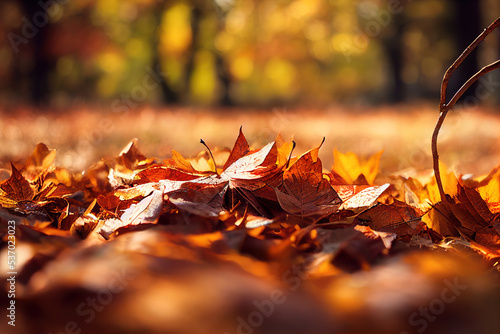 Laubbl  tter im Herbst auf dem Boden mit Textfreiraum