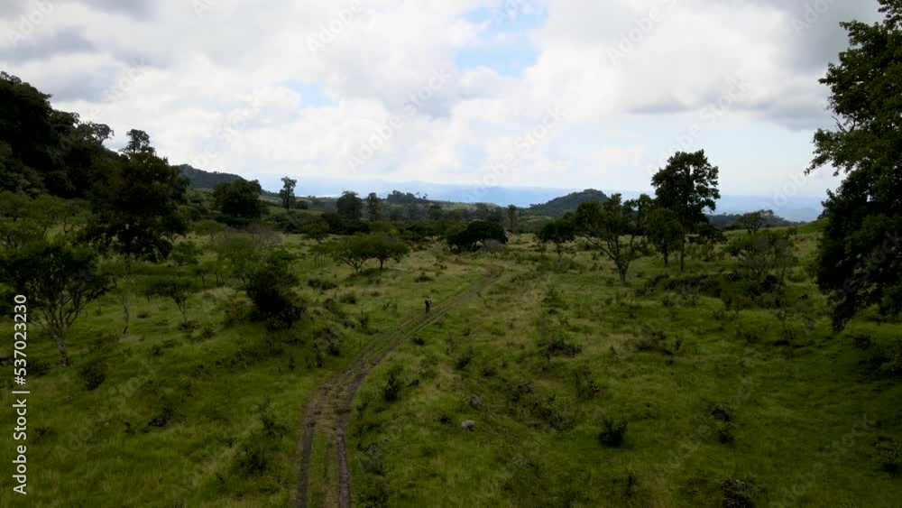 Mountain Bike Full Suspension in the jungle Los Tuxtlas Veracruz Mountain Bike Full Suspension in the jungle Los Tuxtlas Veracruz