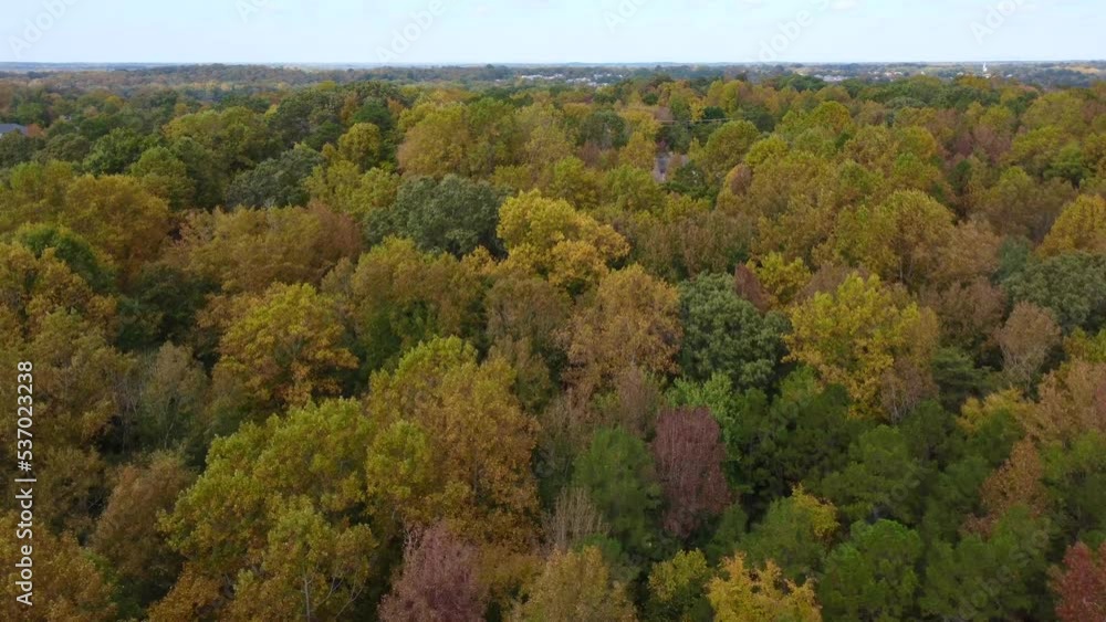 Aerial of fall, autumn leaves Trees in Clemmons North Carolina Aerial of fall, autumn leaves Trees in Clemmons North Carolina