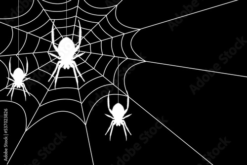 Spider web. Hand drawn cobweb. Spooky Halloween vector illustration