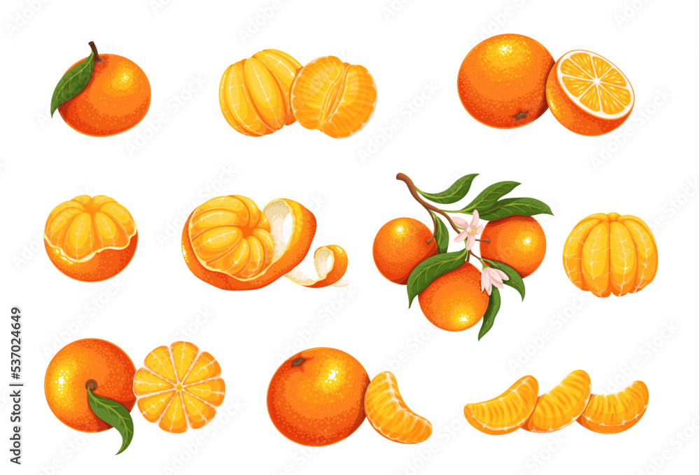 Mandarin set vector illustration. Cartoon isolated whole sweet citrus
