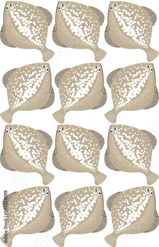 Pattern: flounder