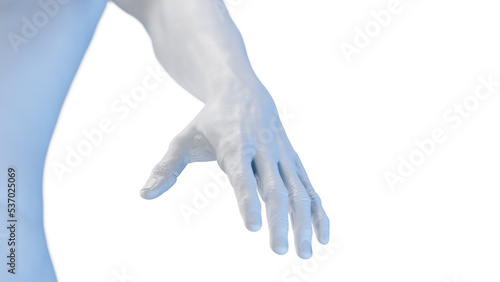3d rendered medical illustration of the human hand © Sebastian Kaulitzki