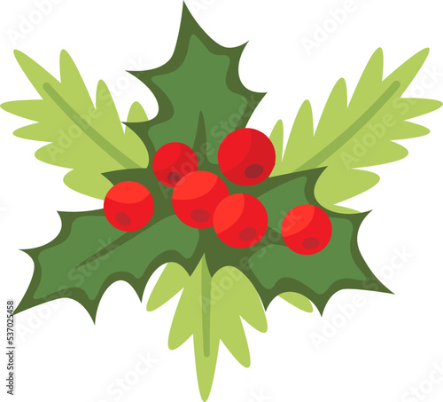 Christmas decoration flat icon Evergreen conifer branch and mistletoe