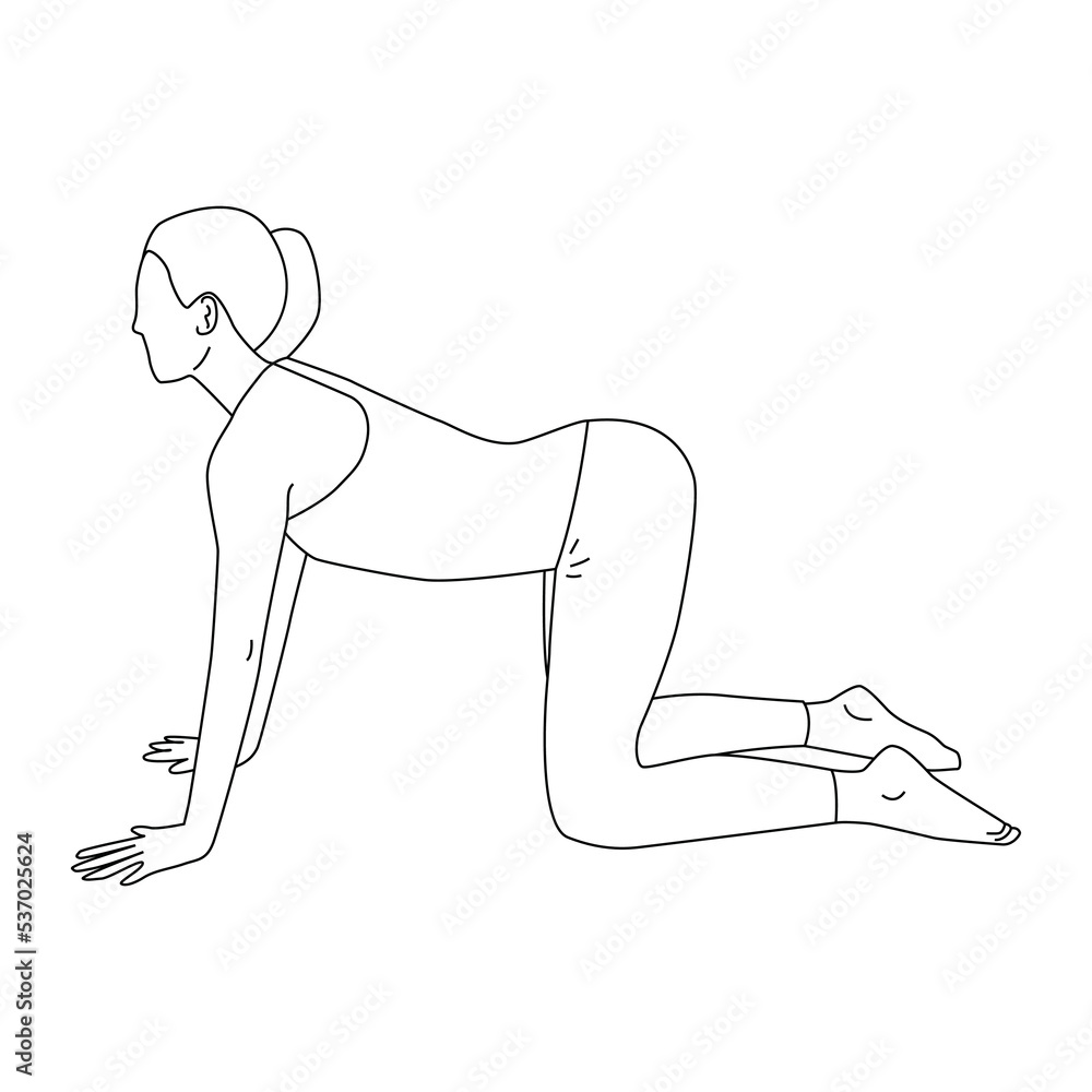 Line art of woman doing Yoga in cow pose vector.