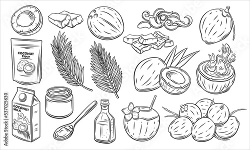 Coconut set, outline icon vector illustration. Hand drawn black line palm tree leaf from summer beach, whole tropical fruit and cut into slices, exotic cocktail, coconut milk and oil for cooking photo