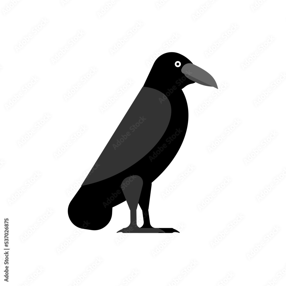Fototapeta premium Black Raven isolated. Black crow symbol of death