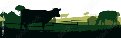Cows graze in pasture. Picture silhouette. Farm pets. Rural landscape with farmer house. Domestic farm animals for milk and dairy products. Isolated on white background. Vector