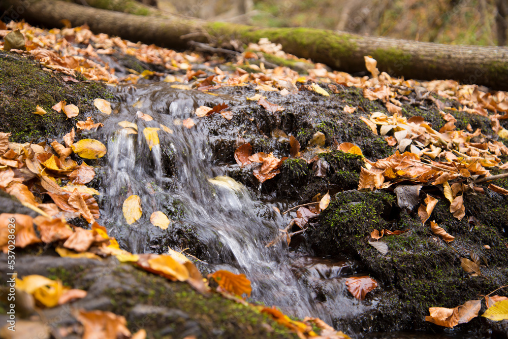 Waterfall in autumn forest Waterfall in autumn forest