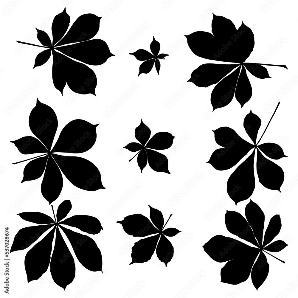 Obraz premium Set of vector chestnut leaf black silhouette icon. Simple chestnut leaves illustration for logo. Realistic hand drawn leaves illustration set on white background.
