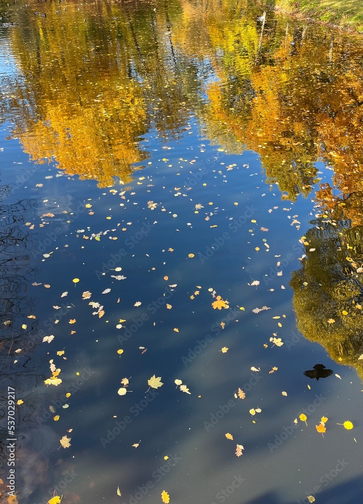 Autumn pond in the park, tree reflection on the pond surface, yellow and orange leaves on the tree Autumn pond in the park, tree reflection on the pond surface, yellow and orange leaves on the tree