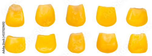 Corn grains set isolated on white background. Color image of several corn kernels. Vector mesh illustration.