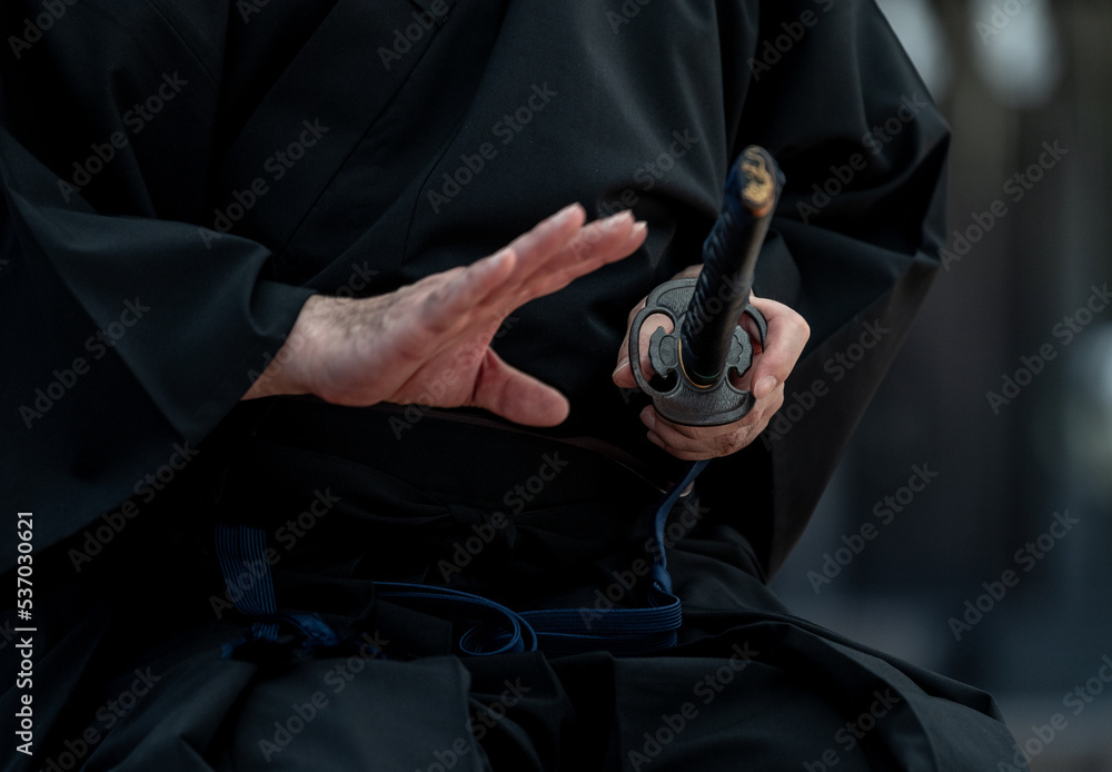 日本刀を構える人物(Demonstration of Japanese sword) 日本刀を構える人物(Demonstration of Japanese sword)