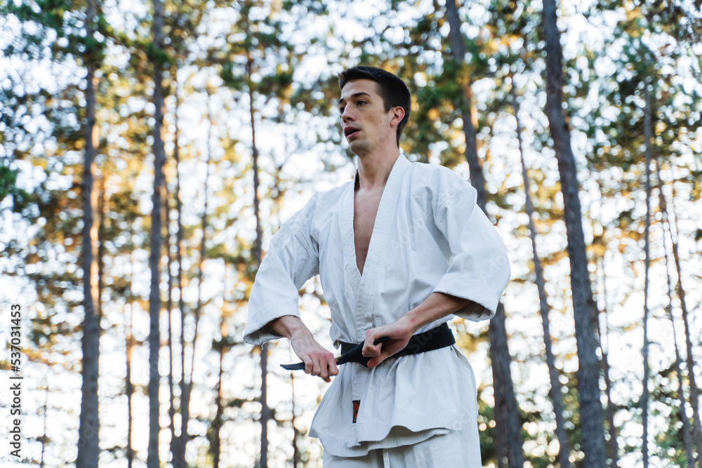 A young man doing karate in the forest training strength pose meditation A young man doing karate in the forest training strength pose meditation