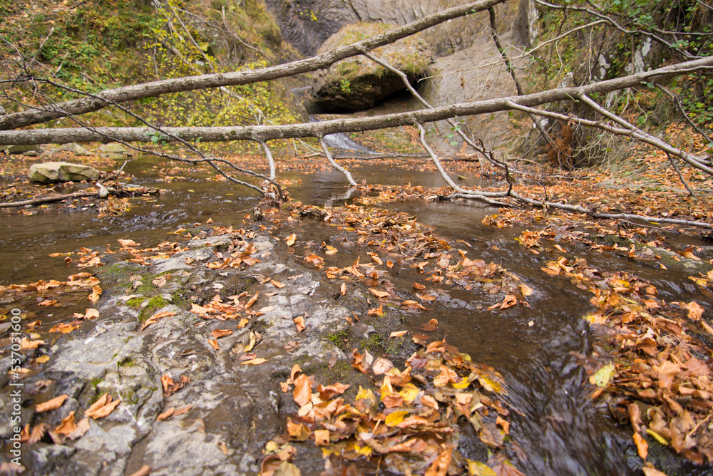 Waterfall in autumn forest Waterfall in autumn forest