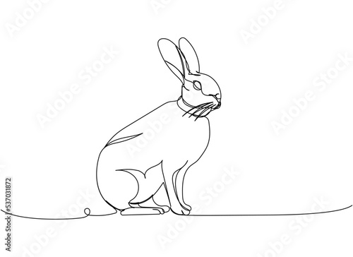 Alaskan Hare, bunny one line art. Continuous line drawing of pet, mammal, breed, zodiac, china, oriental, domestic, easter, bunny, animal, year new, 2023, hare.