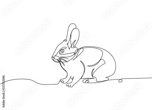 Domestic rabbit, bunny one line art. Continuous line drawing of pet, mammal, breed, zodiac, china, oriental, domestic, easter, bunny, animal, year new, 2023, hare.