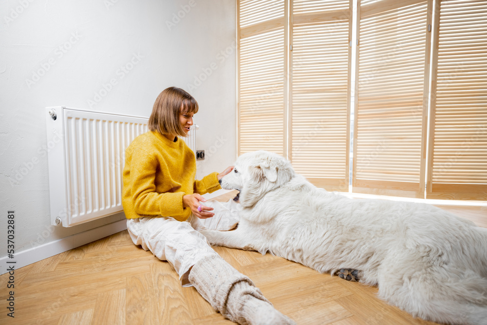 Woman plays with her dog while sitting together on a floor near the window Woman plays with her dog while sitting together on a floor near the window