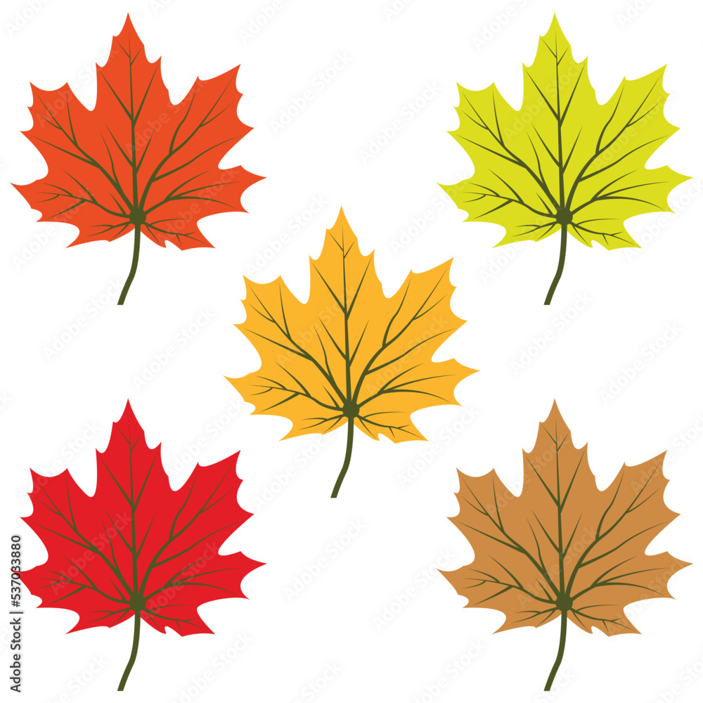 Maple leaf logo Template vector icon illustration design Maple leaf logo Template vector icon illustration design