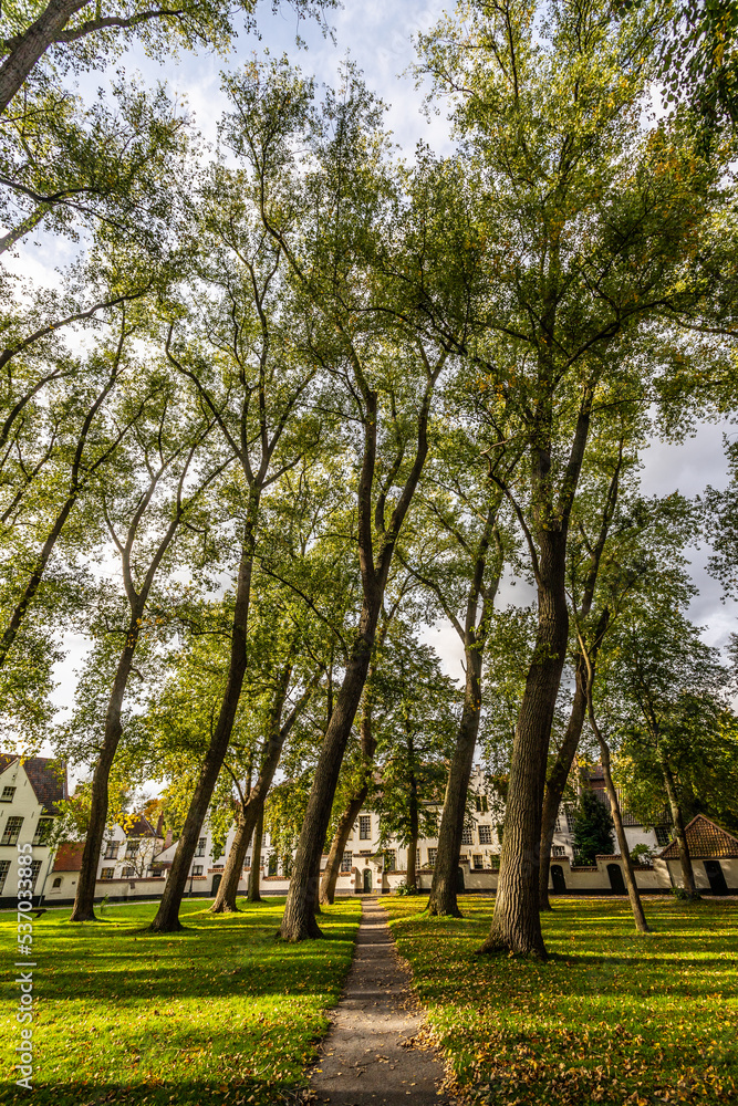 Begijnhof, Brugge Begijnhof, Brugge