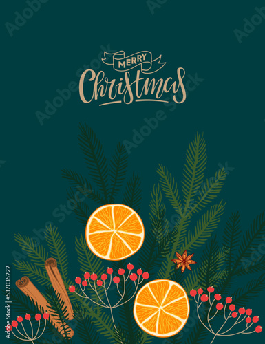 Vector Christmas illustration. Christmas greeting card with Orange fruits and spruce branches, berries, spices and inscription Merry Christmas on dark background. Handwritten calligraphy lettering.