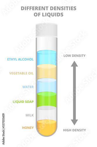 Vector diagram of density liquids or different densities of liquids. Separate fluid layers from high to low density in a test tube – honey, milk, liquid soap, water, vegetable oil, and ethyl alcohol.