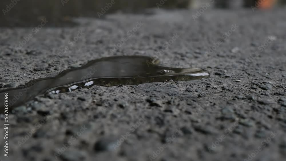 a thin stream of liquid similar to water or gasoline flows on dry asphalt close-up. Leakage of water or fuel on asphalt. in detail a thin stream of liquid similar to water or gasoline flows on dry asphalt close-up. Leakage of water or fuel on asphalt. in detail