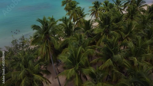 Aerial drone video of tropical paradise beach with blue waters, white sand and palm trees in Samana, Dominican Republic, Caribbean.