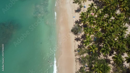 Aerial drone video of tropical paradise beach with blue waters, white sand and palm trees in Samana, Dominican Republic, Caribbean.
