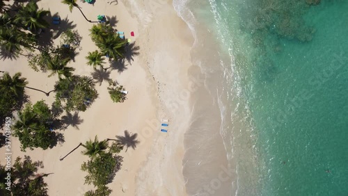 Aerial drone video of tropical paradise beach with blue waters, white sand and palm trees in Samana, Dominican Republic, Caribbean.