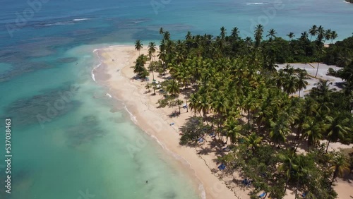 Aerial drone video of tropical paradise beach with blue waters, white sand and palm trees in Samana, Dominican Republic, Caribbean.