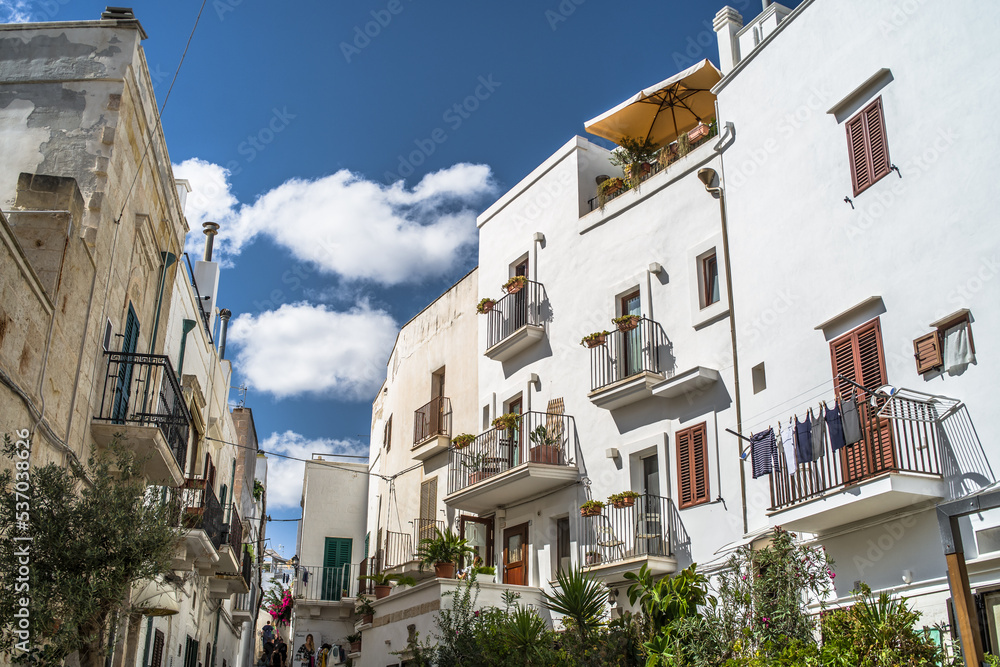 Fototapeta premium Spectacular medieval stone houses in the old town of Polignano a Mare built on the cliffs above the Adriatic Sea Narrow streets and historic buildings